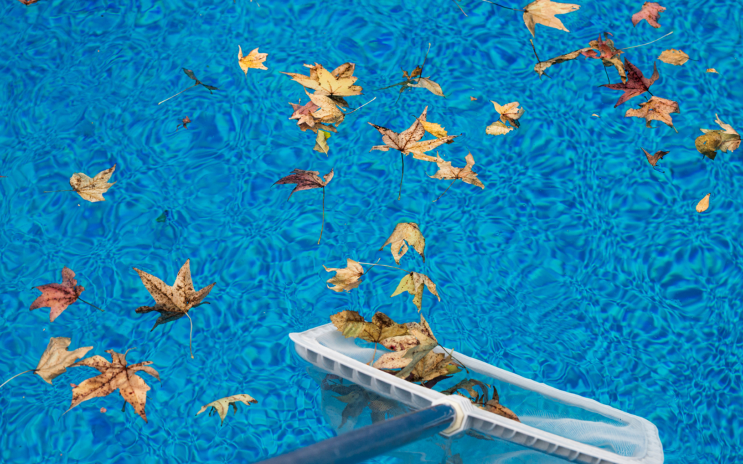 The Essential Role of Expert Tree Trimming in Pool Landscaping