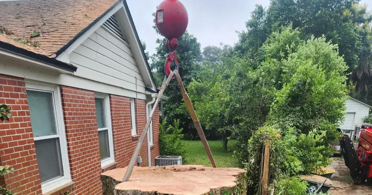 ISA Certified Arborist evaluating a storm-damaged tree leaning over a residential roof in Jacksonville Florida