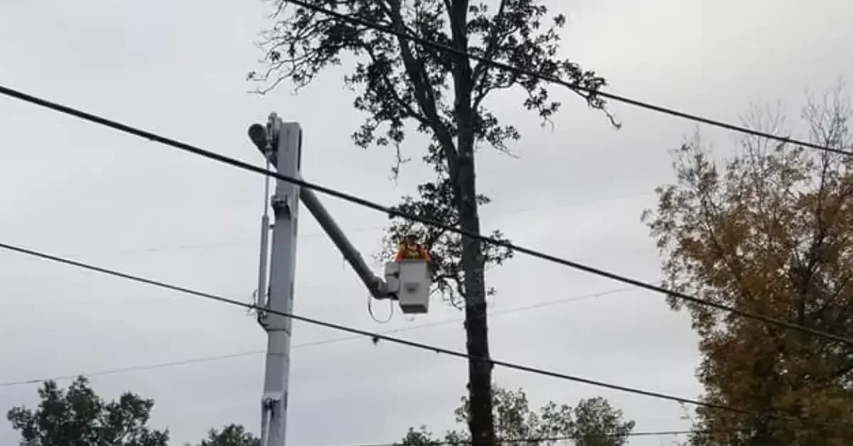Tree removal crew working safely in Deerwood, Jacksonville FL