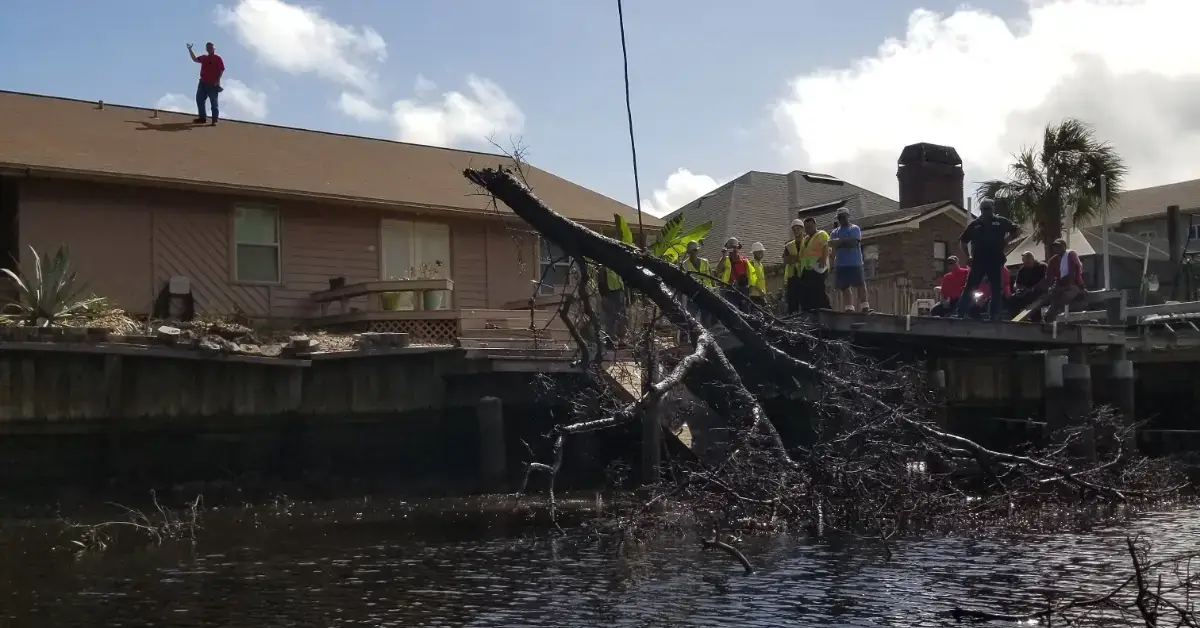 Emergency Tree Service in Jacksonville, FL