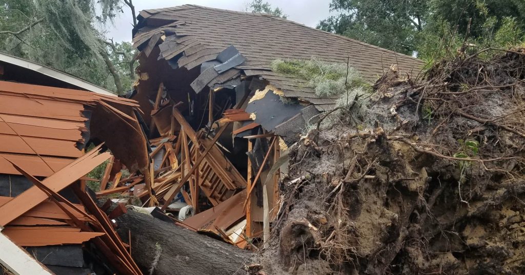 24/7 Emergency Tree Services