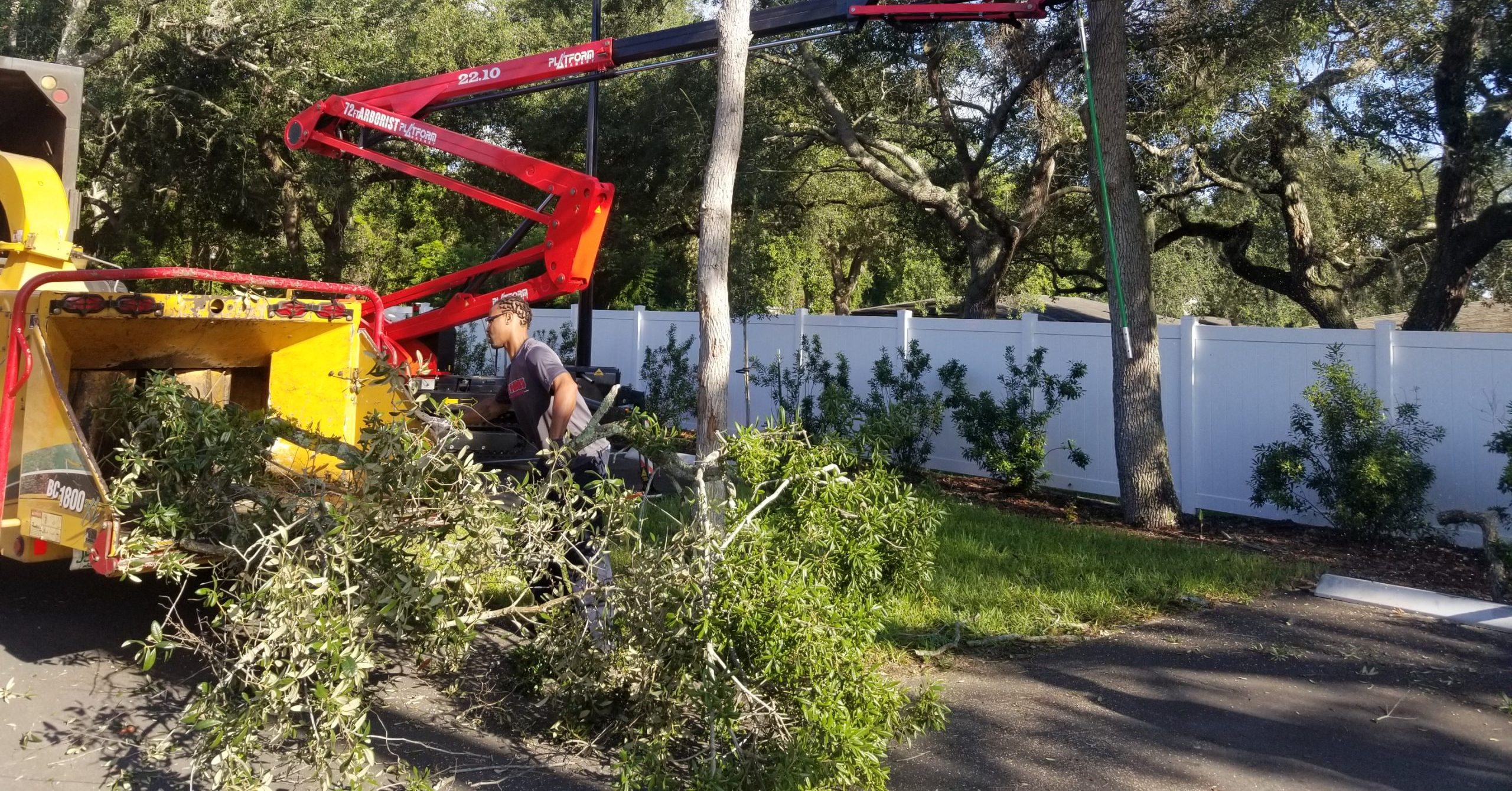 Bushor’s Tree Surgeons performing expert tree removal – trusted tree service in Fleming Island, Florida