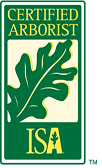 ISA