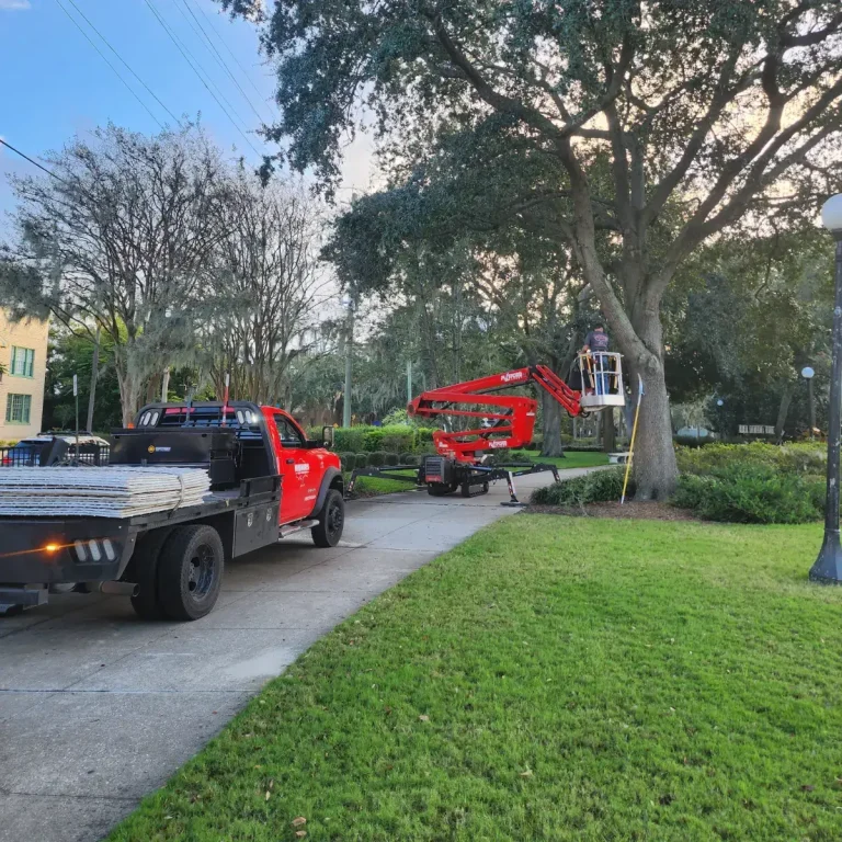 Trees at a Jacksonville commercial property.
