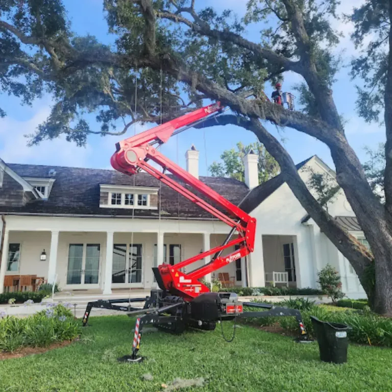 Arborist using a lift to assess a leaning tree near a home in Jacksonville